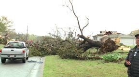 Pelham, AL tornado
